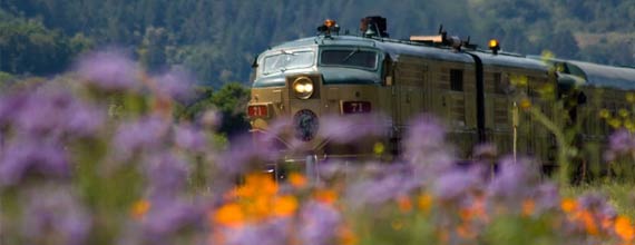 The Napa Valley Wine Train Gallery