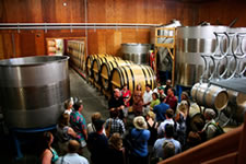 Winery Tour