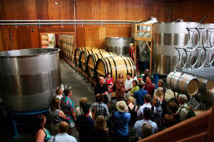 Grgich Hills Winery